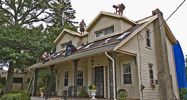 Professional Roofing Contractor in Clifton, TN