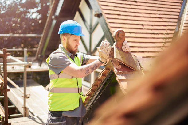 Best Roof Replacement Cost  in Clifton, TN